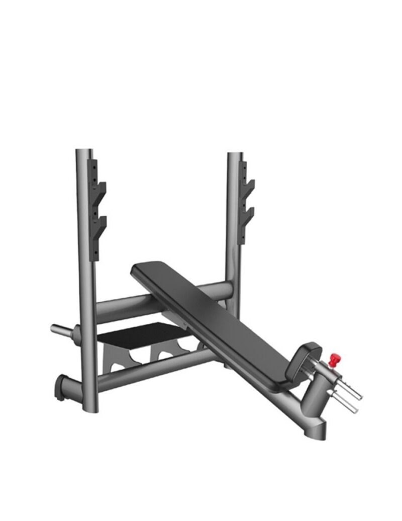 GYM80 Incline Bench CN004009