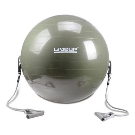 LiveUp Gym Ball With Exerciser LS3227 | 65 cm