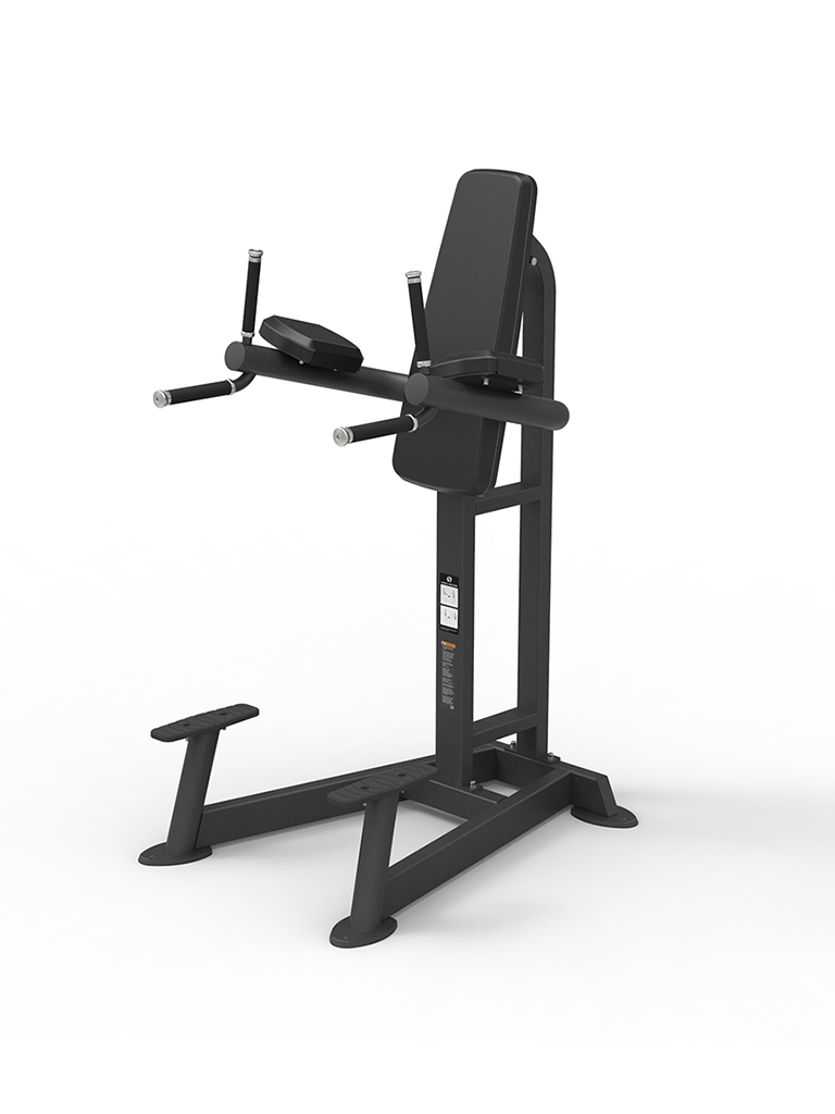 Spirit Fitness Knee Lifting Machine - Image 2