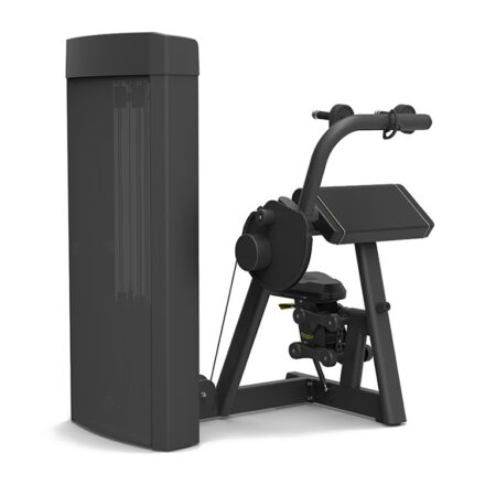 Spirit Fitness Triceps Extension